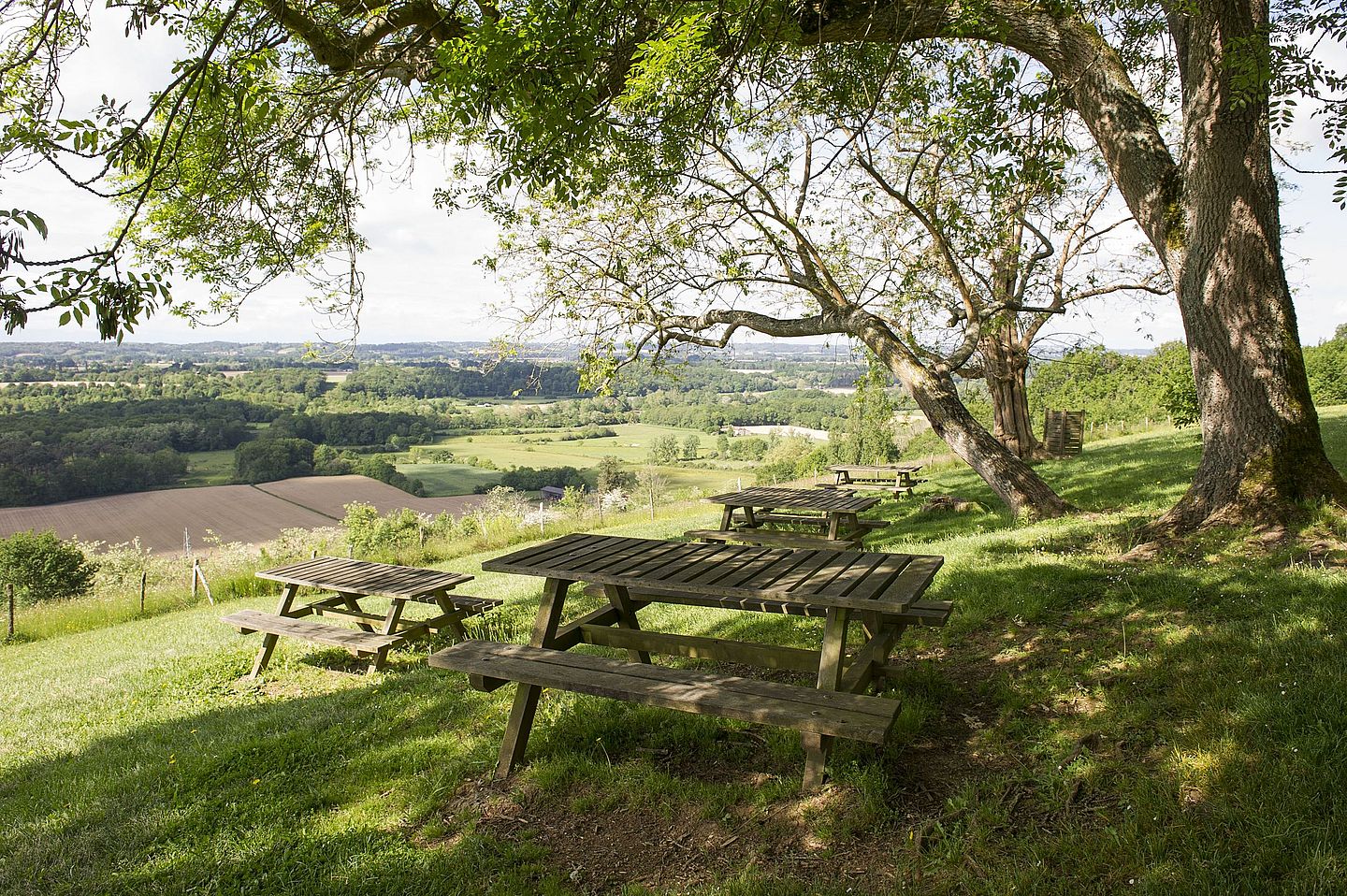 Morlanne les Palombières à VTT Morlanne Nouvelle-Aquitaine