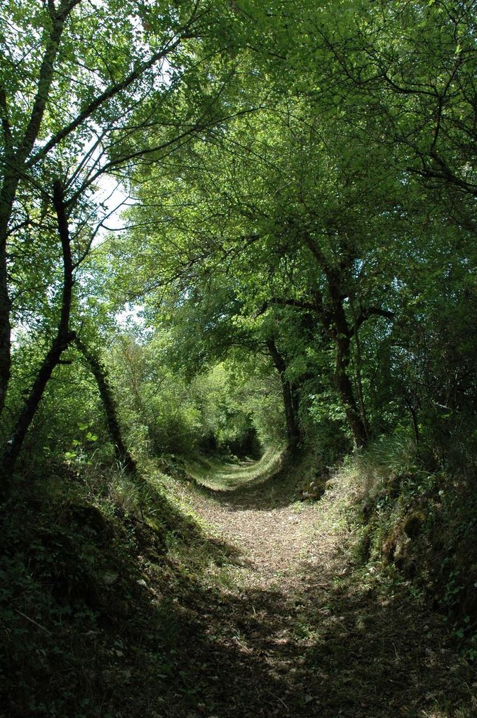 La Grande Boucle du Parc Etape 4 De Champniers-Reilhac aux Salles-Lavauguyon Champniers-et-Reilhac Nouvelle-Aquitaine