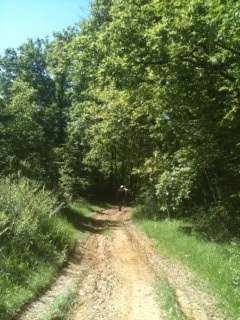 Boucle de Merle Cladech Nouvelle-Aquitaine