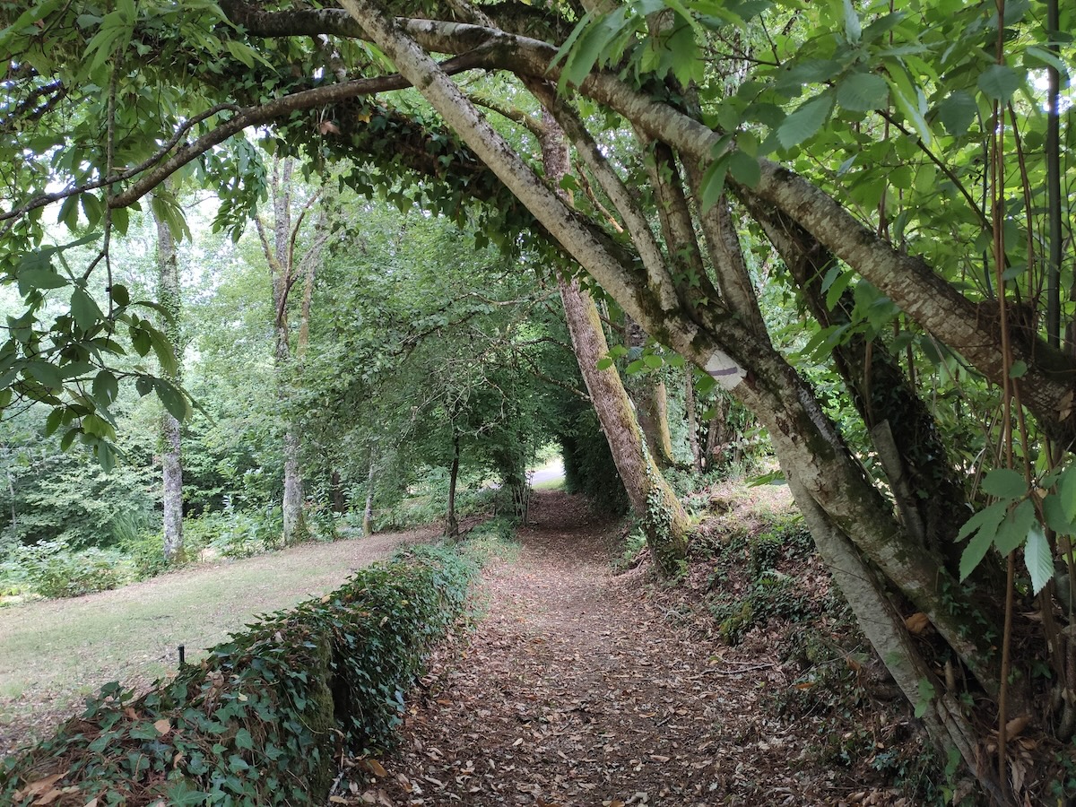 GRP® Monts et Barrages en Limousin Etape 3 De Saint-Julien-le-Petit au lac de Vassivière (Auphelle) Saint-Julien-le-Petit Nouvelle-Aquitaine