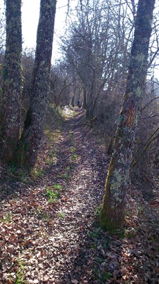 Boucle de La Roche Thenon Nouvelle-Aquitaine
