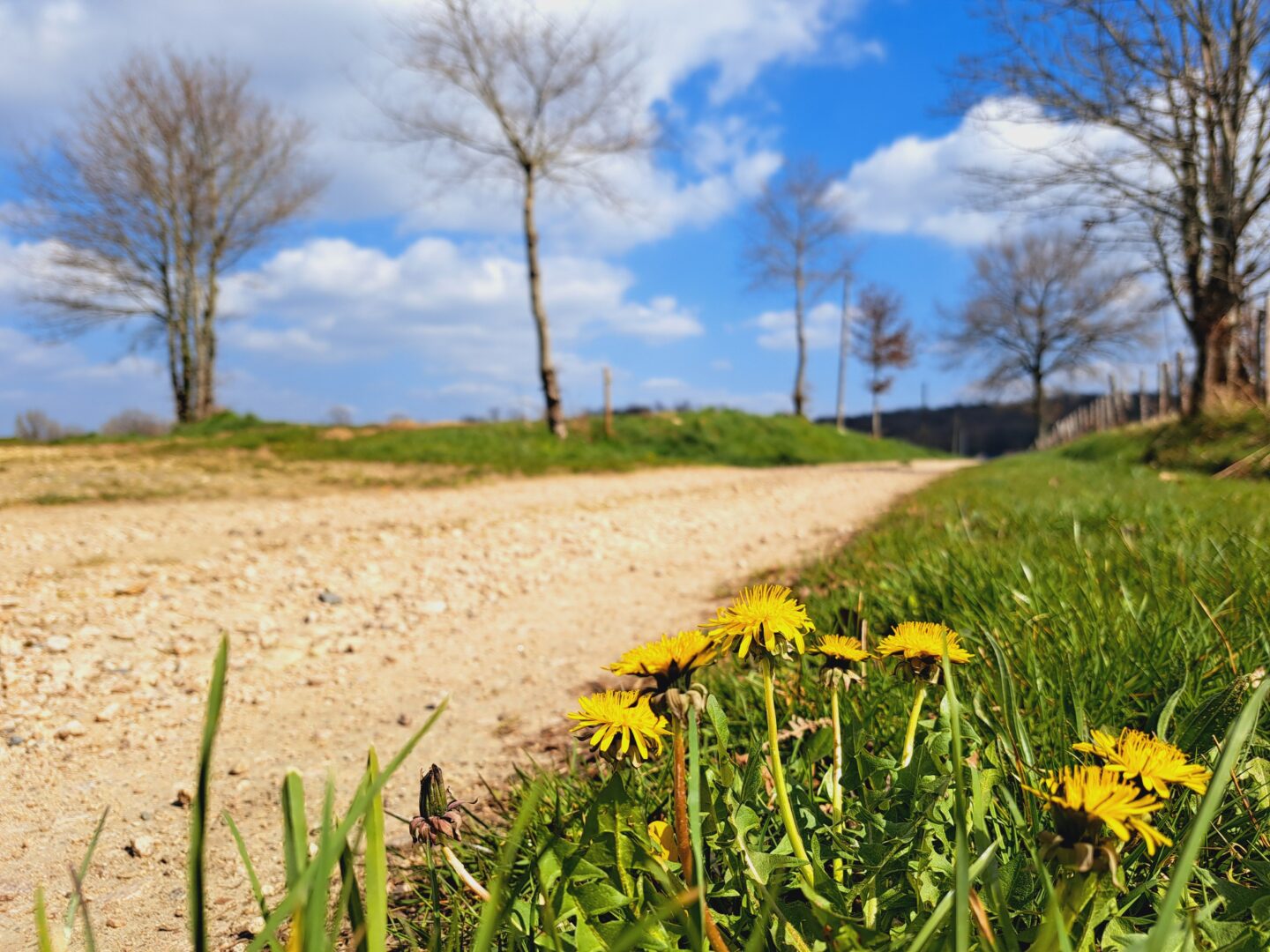 Le Domaine de Chignac Arnac-Pompadour Nouvelle-Aquitaine