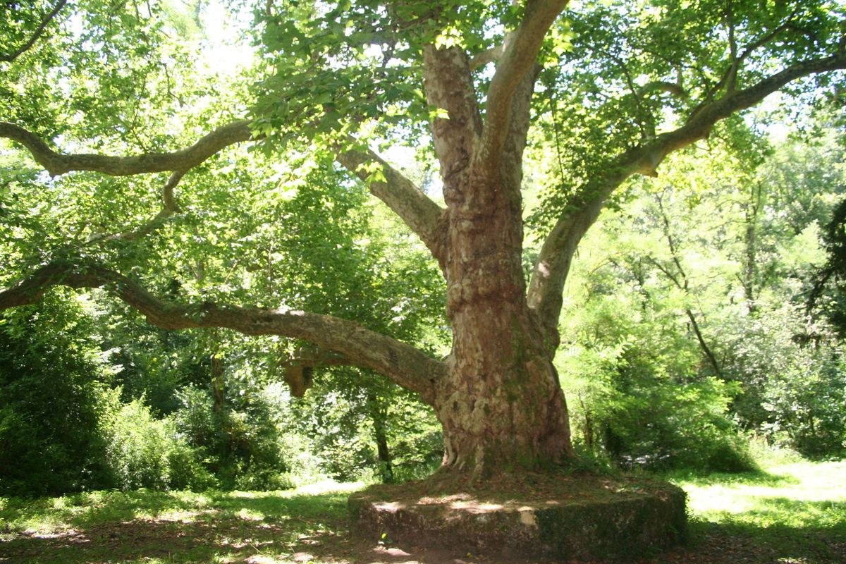 La Grande Boucle du Parc Etape 5 Les Salles Lavauguyon à Rochechouart Les Salles-Lavauguyon Nouvelle-Aquitaine