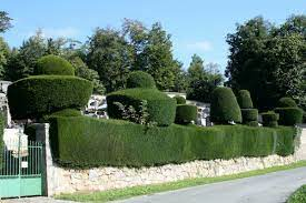 VTT 12 bleu Mourioux Mourioux-Vieilleville Nouvelle-Aquitaine