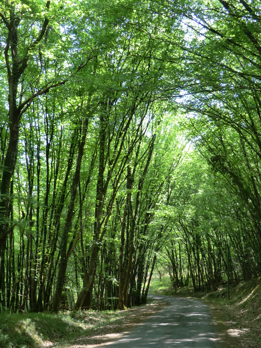 Le circuit de Trousse Brune à La Roche-Chalais La Roche-Chalais Nouvelle-Aquitaine