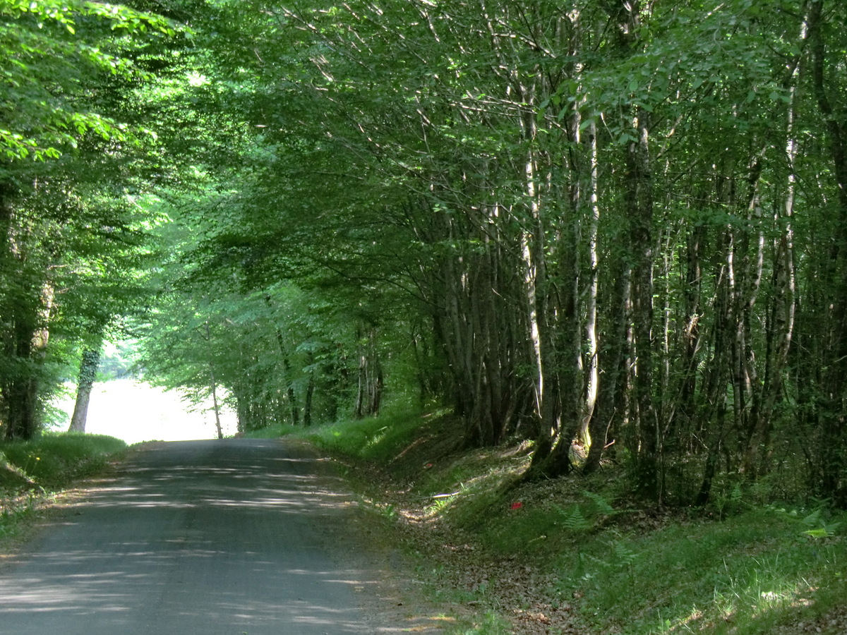 Boucle de détente à Saint-Michel l'Ecluse et Léparon La Roche-Chalais Nouvelle-Aquitaine