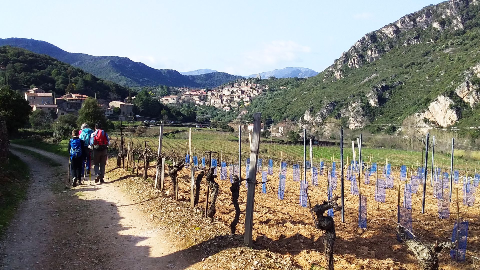 RANDONNEE L'AYROLLE Roquebrun Occitanie
