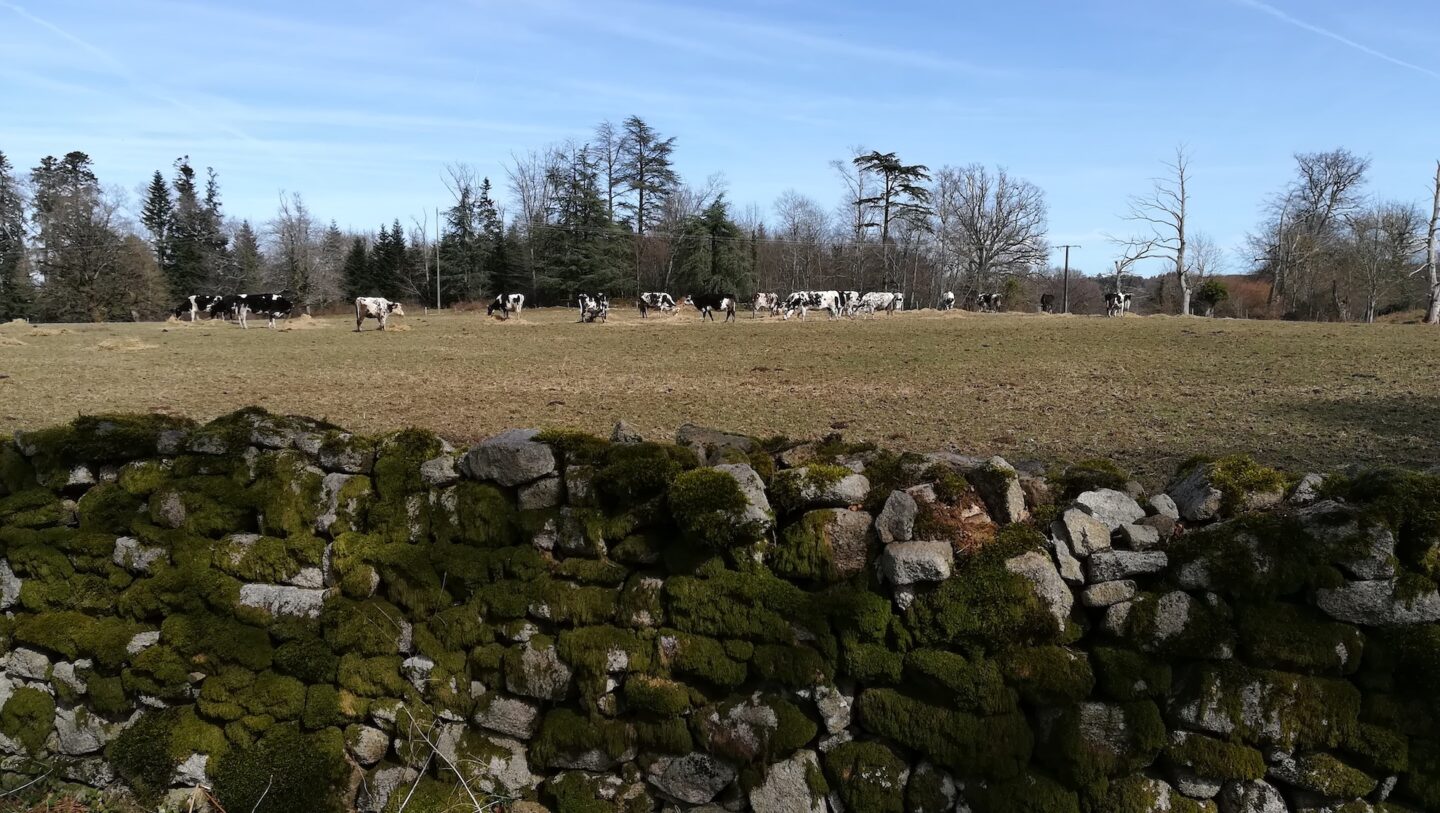 Sentier de Muret Aureil Nouvelle-Aquitaine