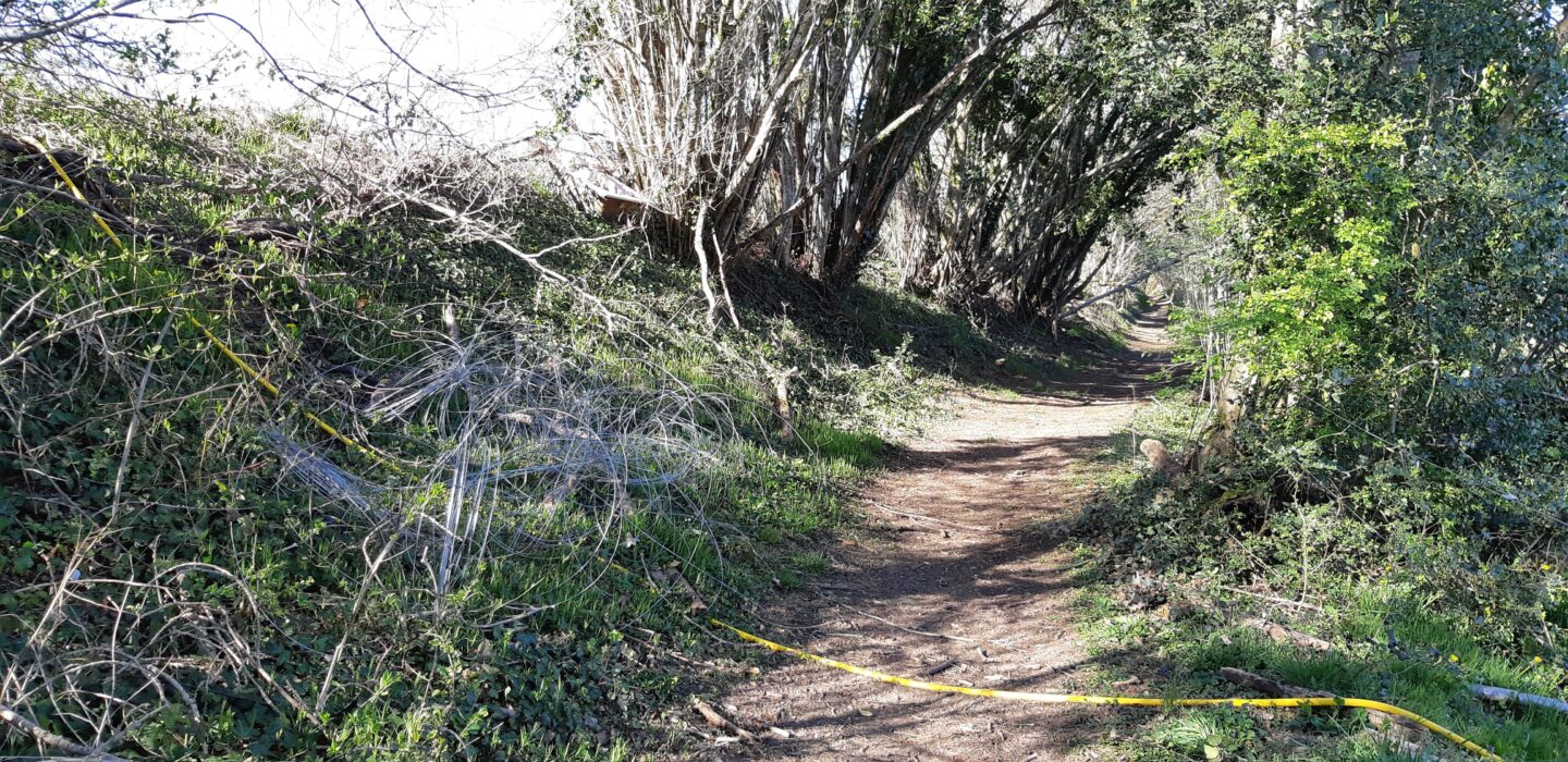 Circuit du Pont de la Roche Vigeois Nouvelle-Aquitaine