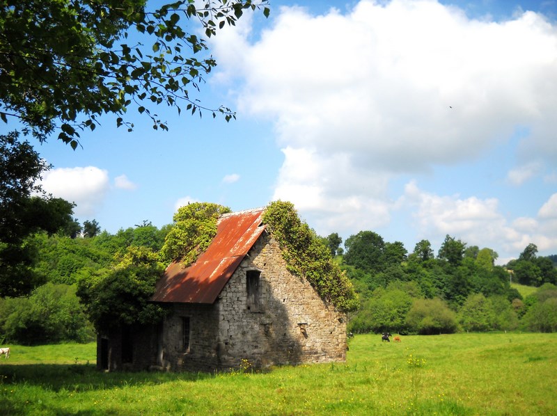 Entre bois et vallée Souleuvre en Bocage Normandie