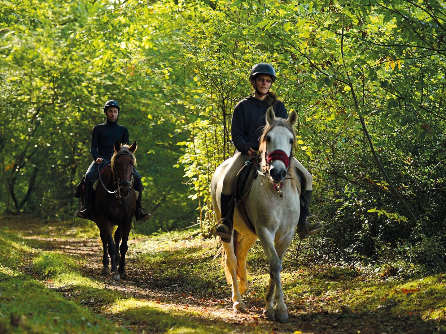 Moncaup au cœur du Madiranais à cheval Moncaup Nouvelle-Aquitaine Moncaup au cœur du Madiranais à cheval Moncaup Nouvelle-Aquitaine