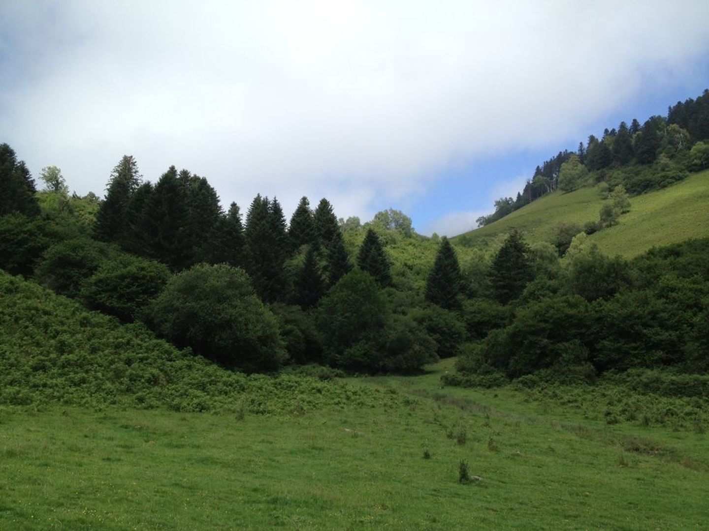 Les Cercles de pierres au départ de Bilhères Bilhères Nouvelle-Aquitaine