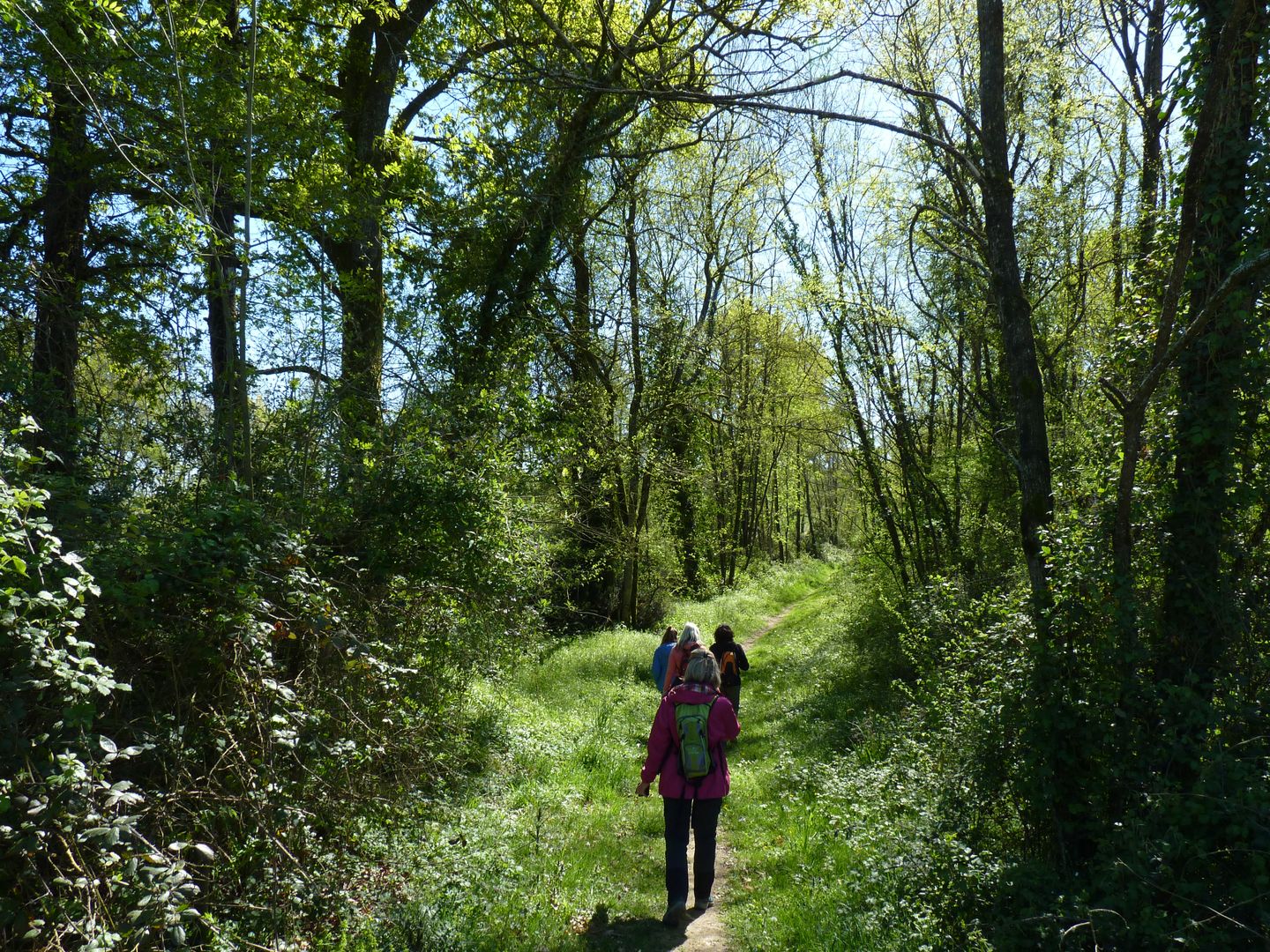 Lalonquette les coteaux du Gabas Lalonquette Nouvelle-Aquitaine
