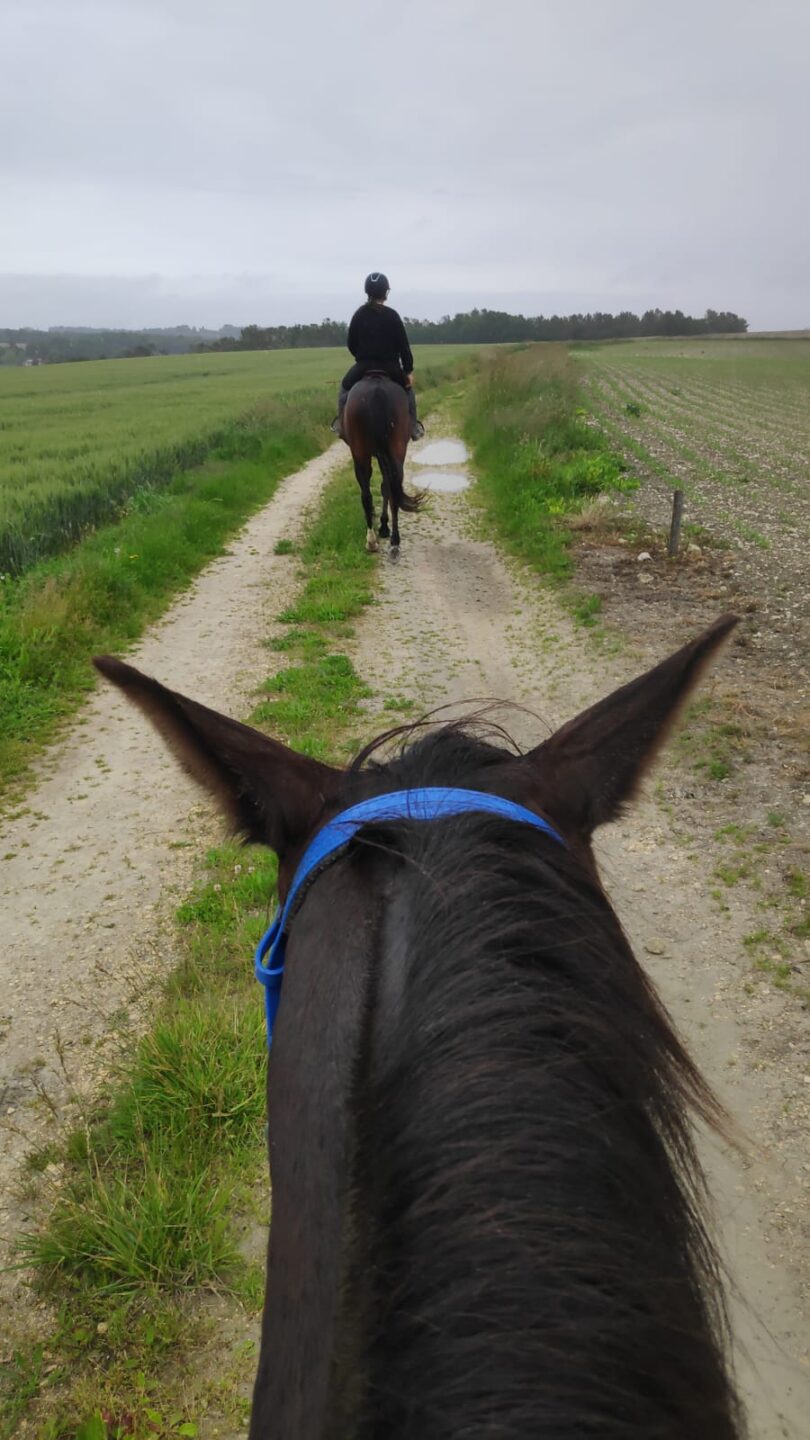 Balade du Centre Les Petites Fontaines aux alentours de Celles Villetoureix Nouvelle-Aquitaine