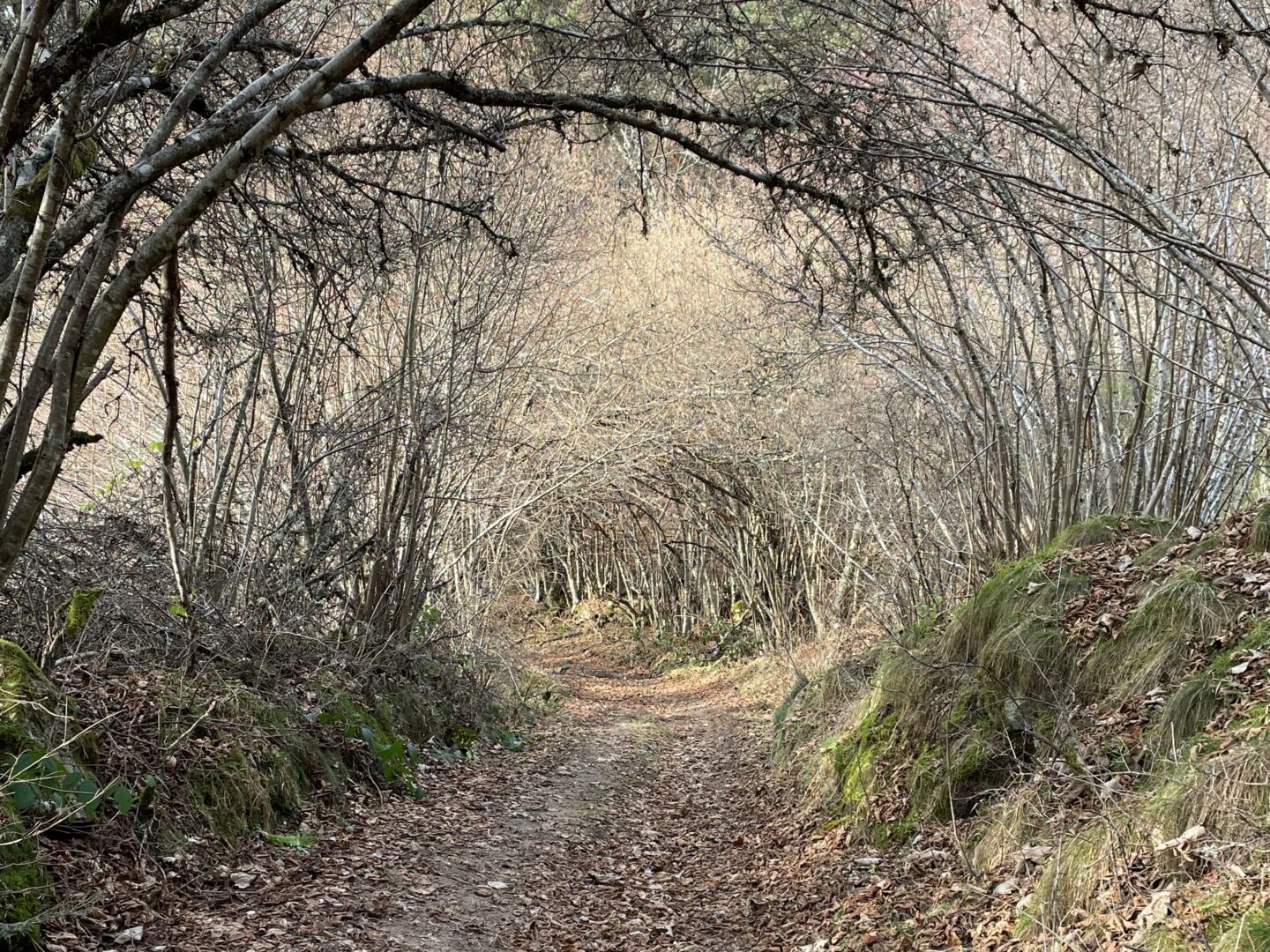 Circuit de la Reisse Langogne Occitanie