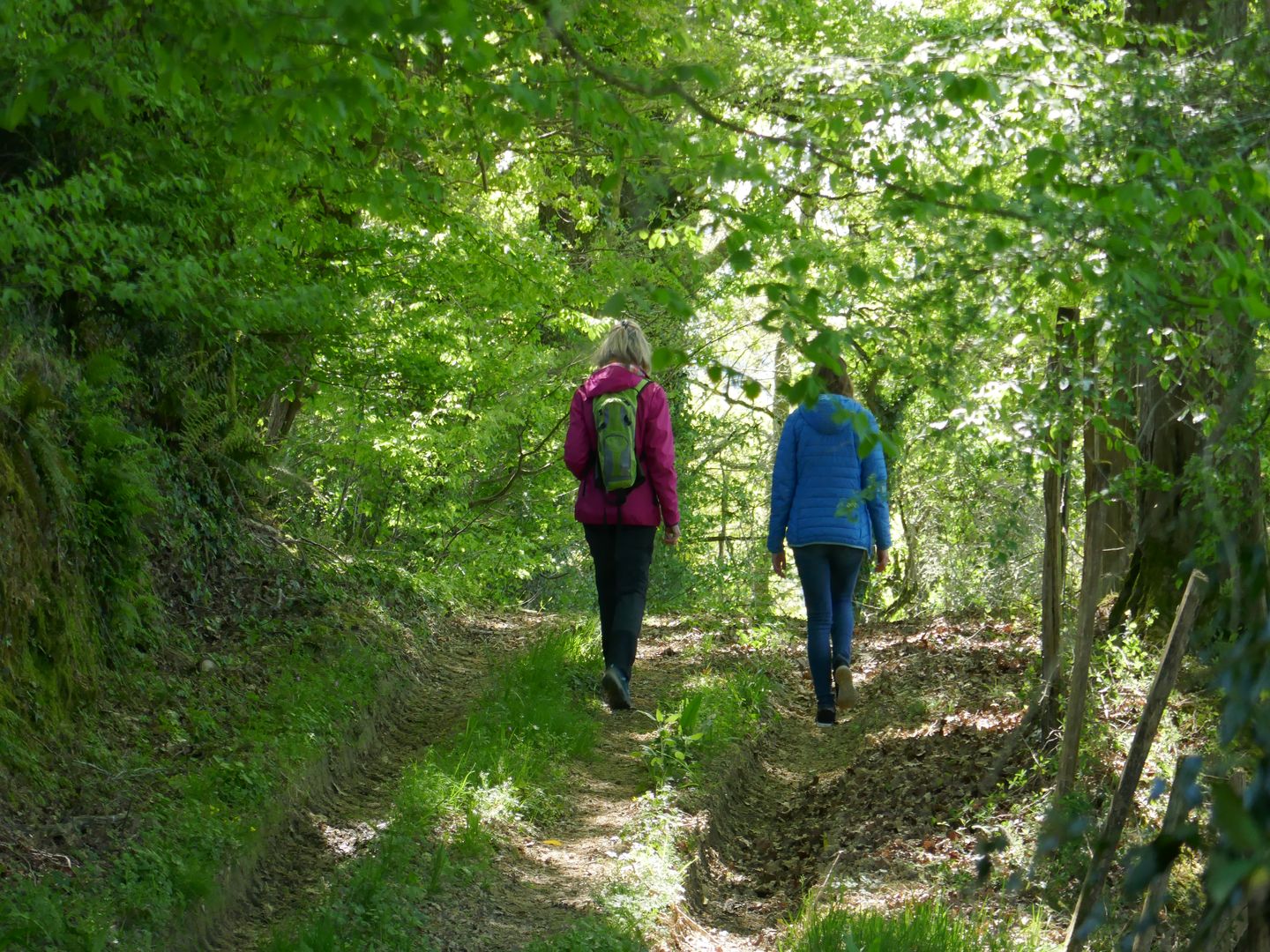 Claracq promenade du Beüs au château Claracq Nouvelle-Aquitaine
