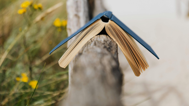 Club lecture | Les romans régionaux