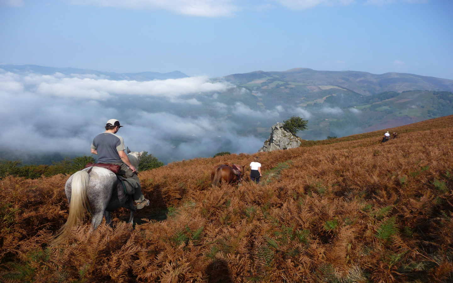 Le sentier des contrebandiers Du Col des Veaux à Sare équestre Itxassou Nouvelle-Aquitaine