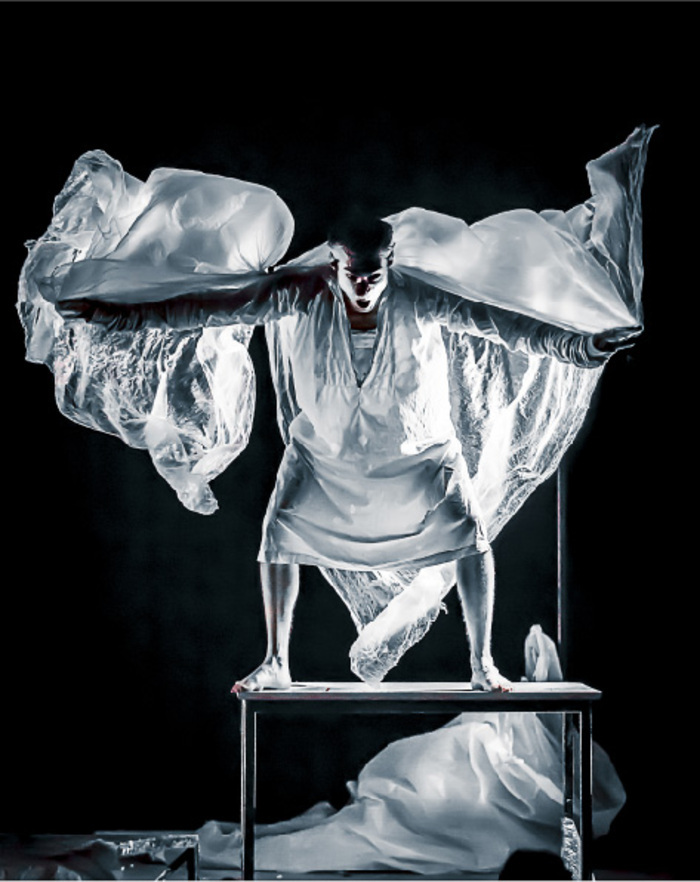 Le delirium du papillon - Typhus Bronx Colonnes Blanquefort