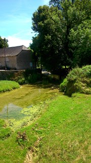 Boucle du Pech Condat-sur-Vézère Nouvelle-Aquitaine