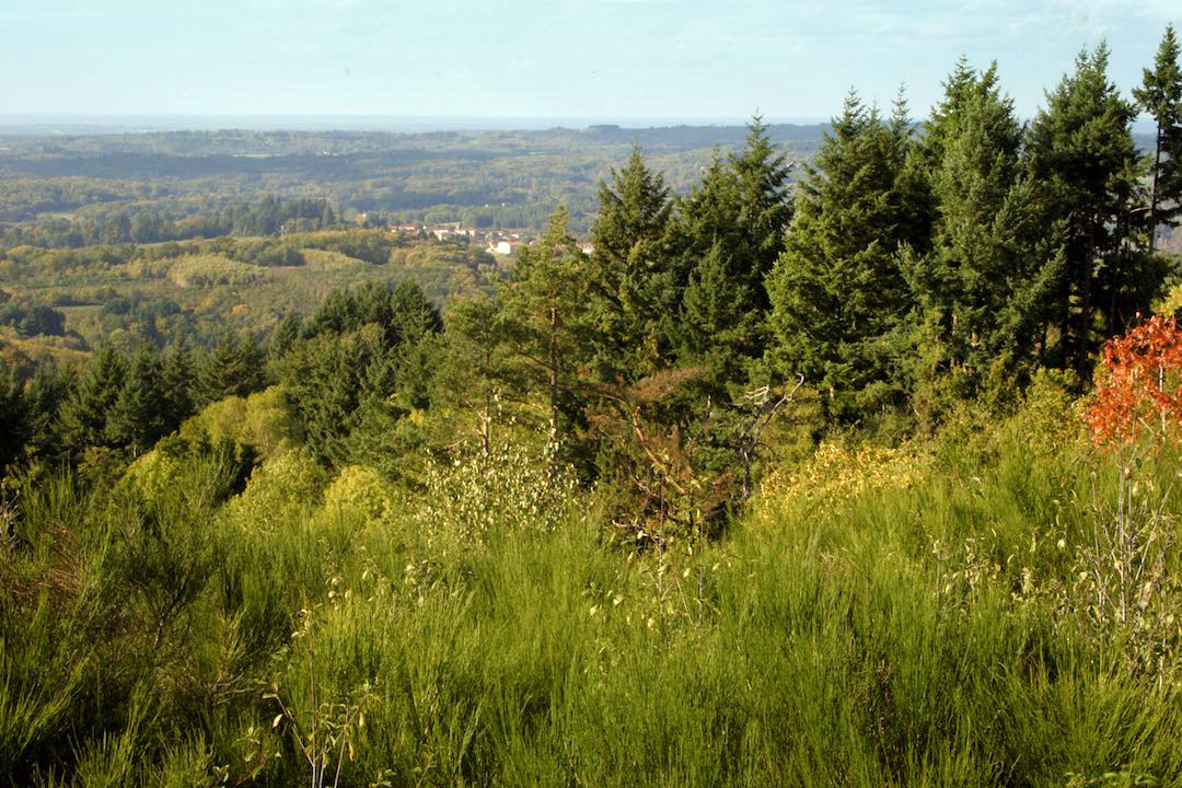 Le sentier des crêtes Compreignac Nouvelle-Aquitaine Le sentier des crêtes Compreignac Nouvelle-Aquitaine