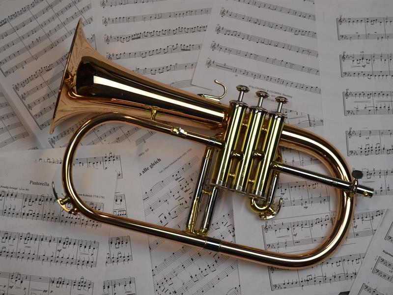 Concert Gospel Rhymes