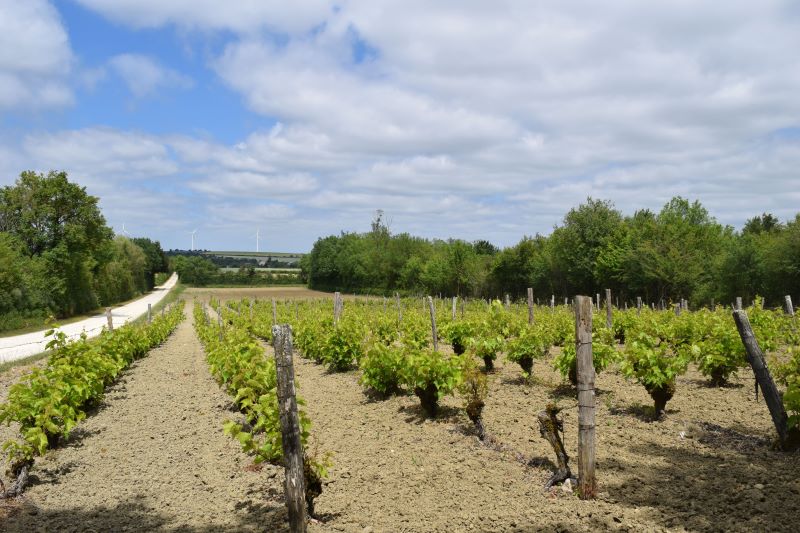 Espace naturel sensible de la Côte-Belet Pamproux Nouvelle-Aquitaine