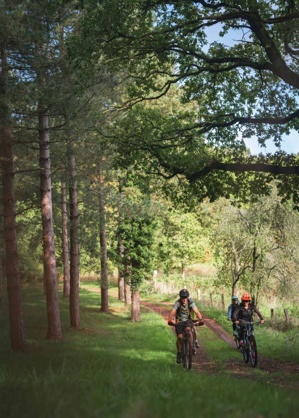 Les Bois de Campandré Thury-Harcourt-le-Hom Normandie Les Bois de Campandré Thury-Harcourt-le-Hom Normandie