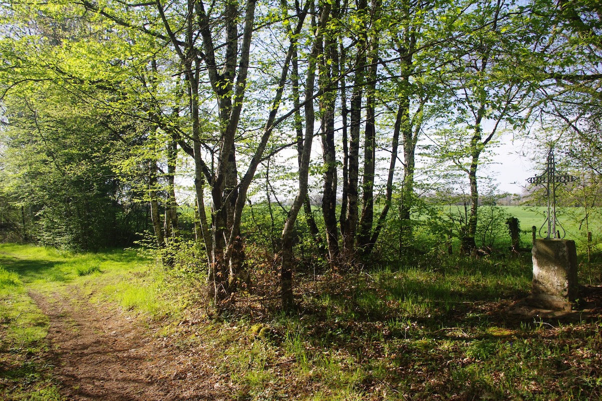GRP®Monts et Barrages en Limousin Etape 8 De Saint-Méard à Saint-Paul Saint-Méard Nouvelle-Aquitaine