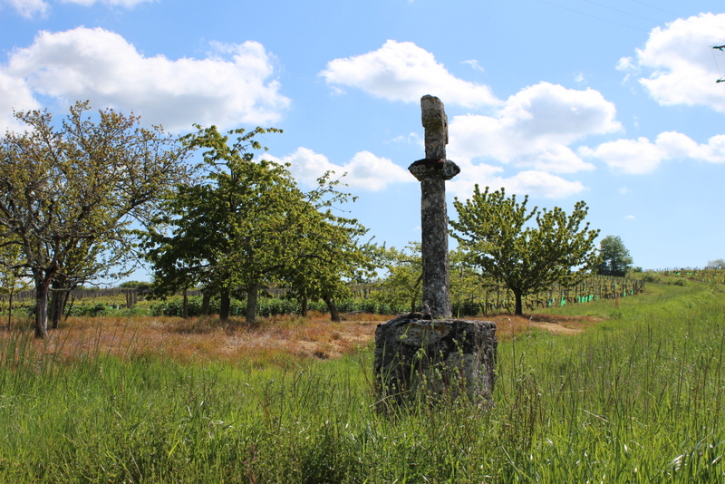 Boucle de Pinson à Saint-André-et-Appelles Saint-André-et-Appelles Nouvelle-Aquitaine