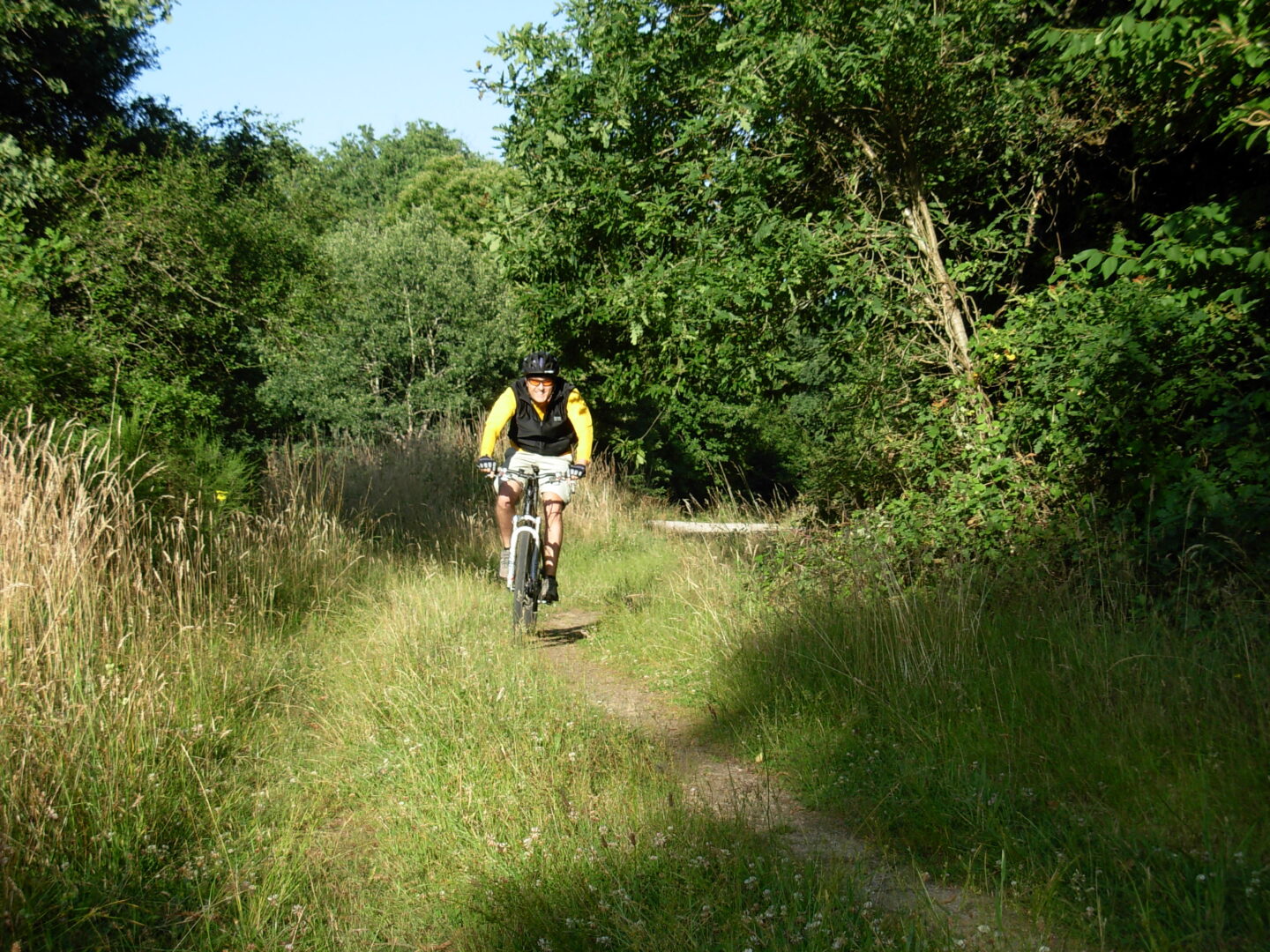 Circuit VTT de l'étang de la Vallée au Belvédère Combreux Centre-Val de Loire