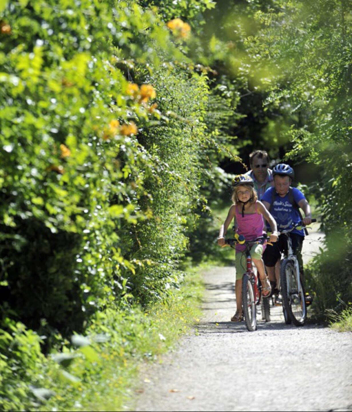 Circuit cyclable 3 Amuré/St-Georges-de-Rex/Vanneau-Irleau/Sansais Amuré Nouvelle-Aquitaine