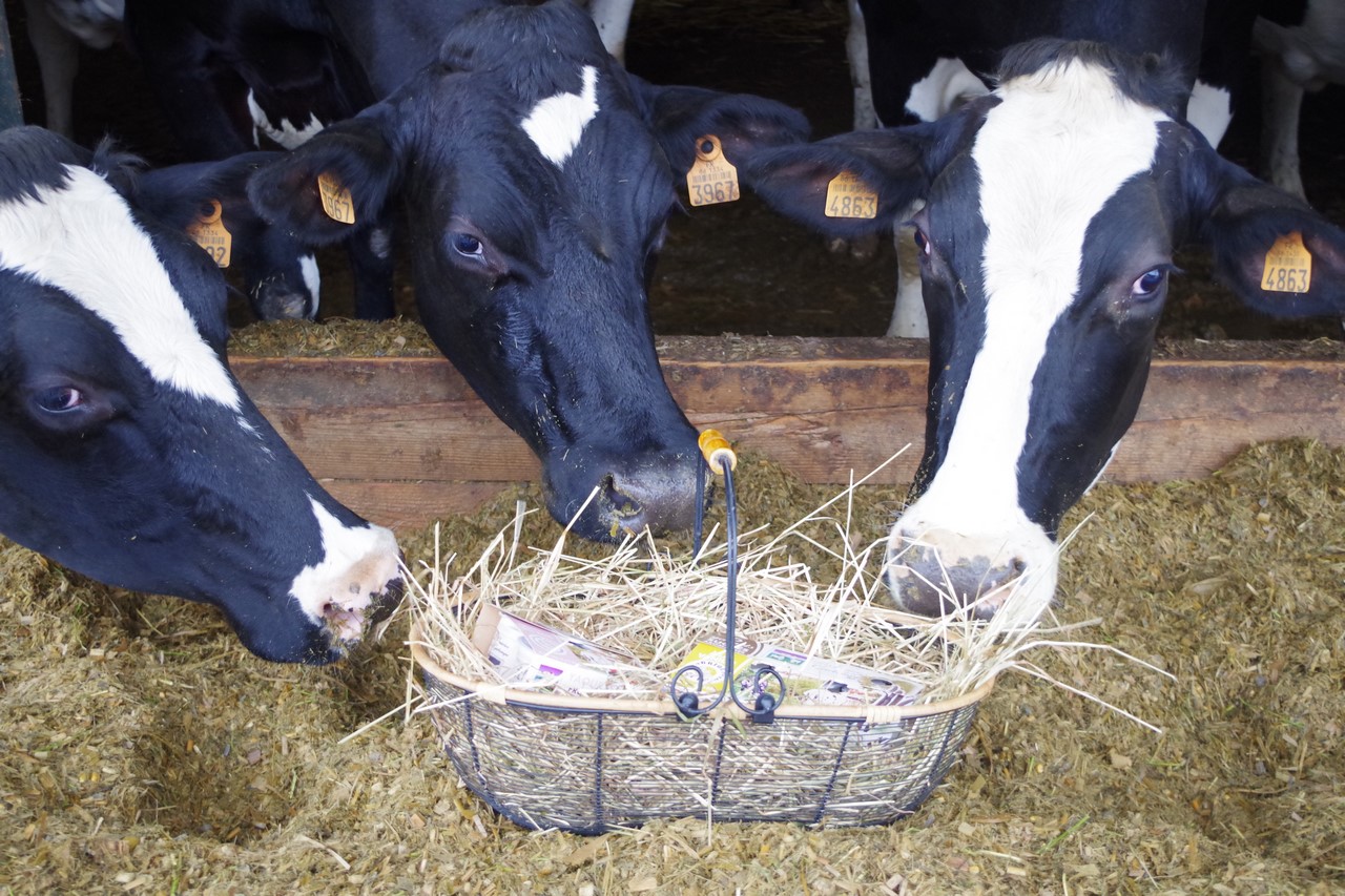 De la Vienne à la Gartempe Angles-sur-l’Anglin Nouvelle-Aquitaine De la Vienne à la Gartempe Angles-sur-l'Anglin Nouvelle-Aquitaine
