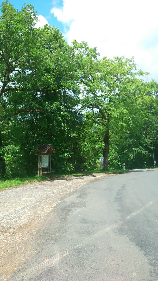 Circuit du Coucou Hautefort Nouvelle-Aquitaine Circuit du Coucou Hautefort Nouvelle-Aquitaine