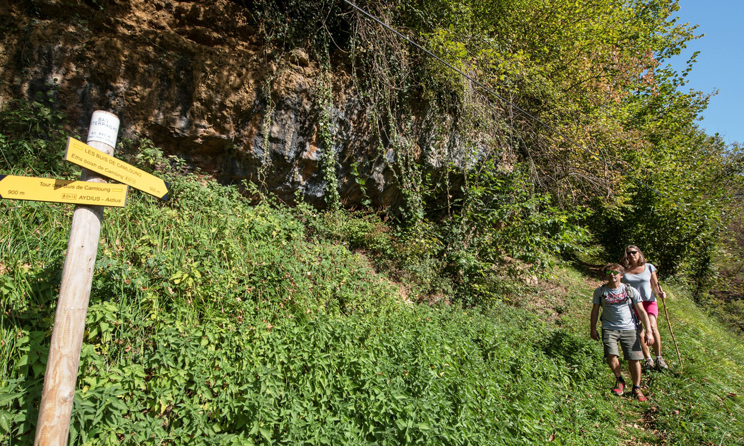 N°22 Chemin des buis de Camploung Aydius Nouvelle-Aquitaine