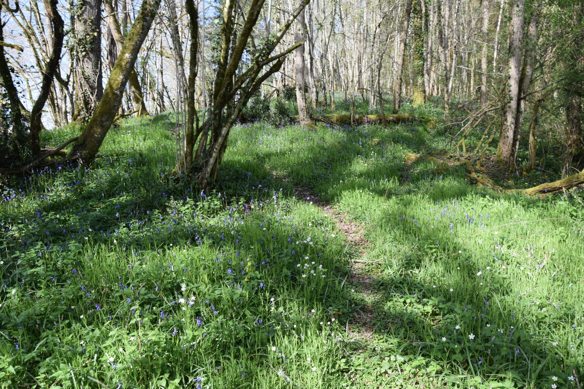 Boucle de la Filature et du Moulin Mialet Nouvelle-Aquitaine