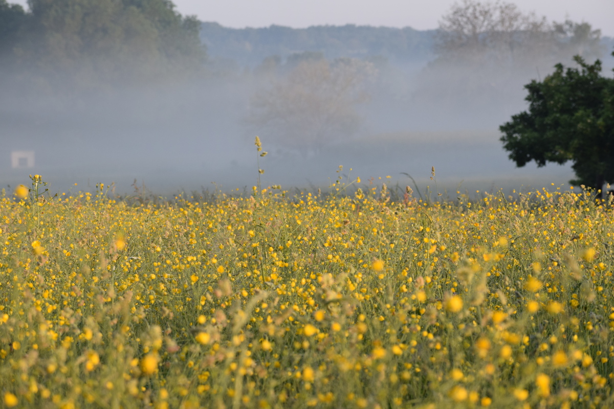 Boucle des 3 Cerisiers Mialet Nouvelle-Aquitaine