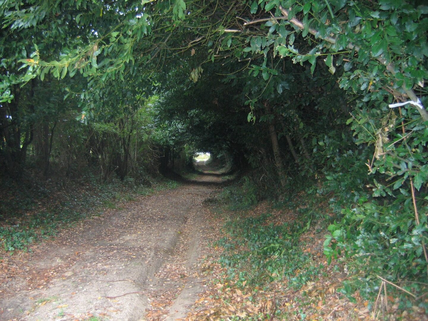 Boucle de Rions Rions Nouvelle-Aquitaine Boucle de Rions Rions Nouvelle-Aquitaine