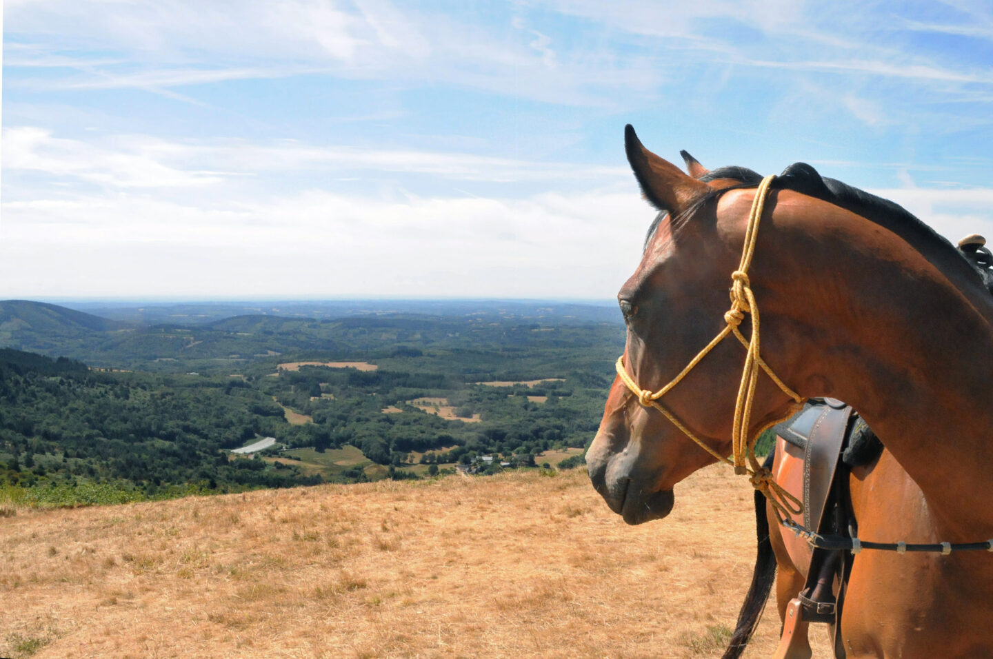 Itinéraire équestre le massif des Monédières et le plateau de Millevaches Treignac Nouvelle-Aquitaine