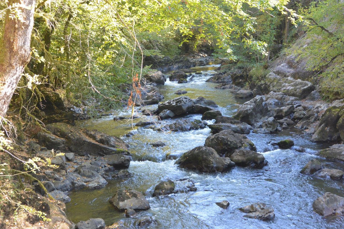 Salagnac Clairvivre en écomobilité Cité utopique au pays des eaux vives Salagnac Nouvelle-Aquitaine