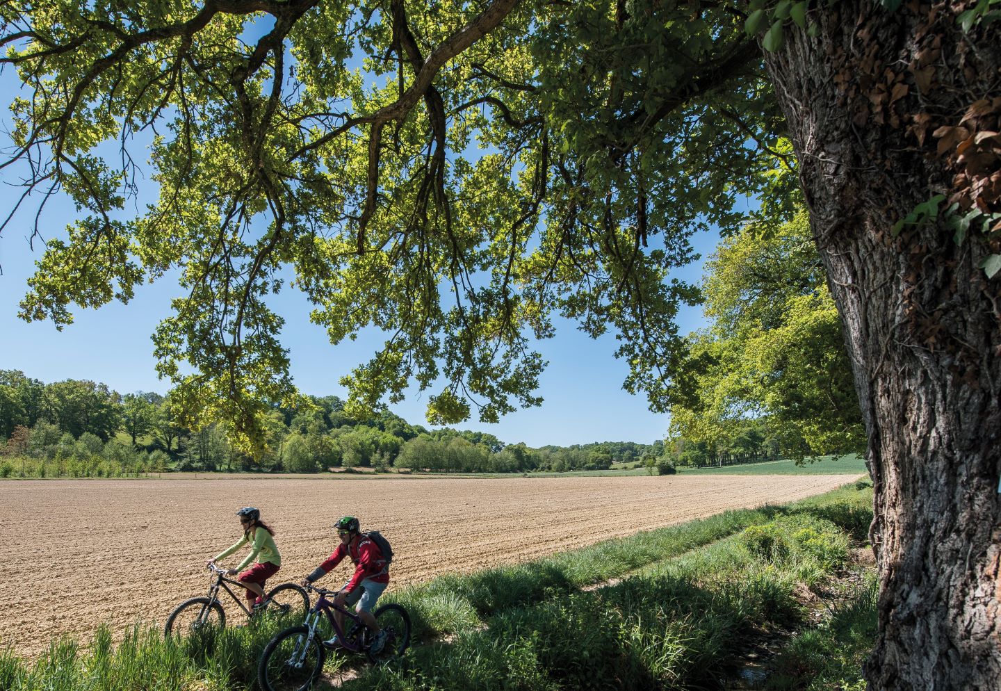Arzacq-Arraziguet de la bastide à la forêt à VTT Arzacq-Arraziguet Nouvelle-Aquitaine Arzacq-Arraziguet de la bastide à la forêt à VTT Arzacq-Arraziguet Nouvelle-Aquitaine