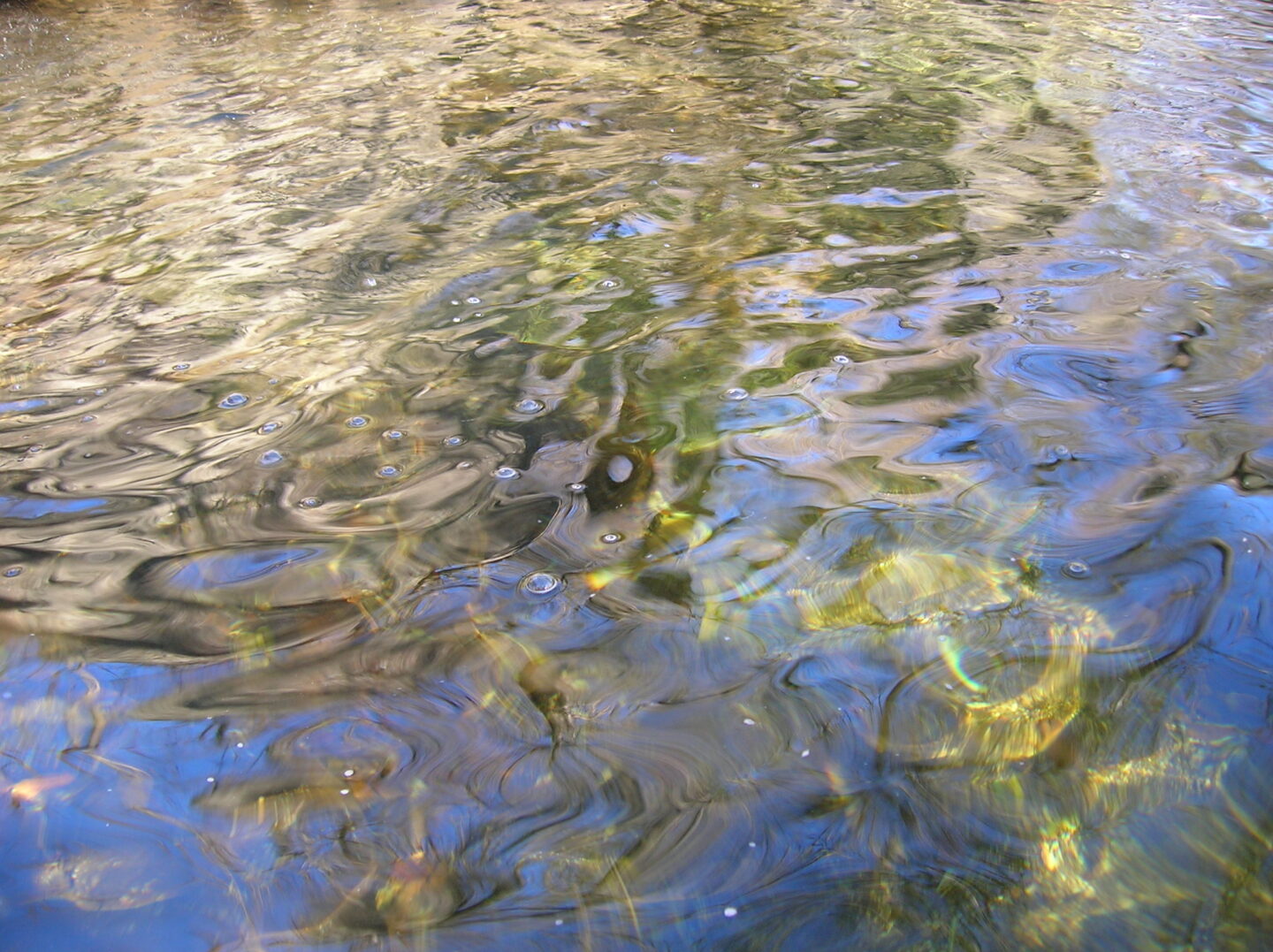 SOURCES ET GORGES DE L’ALLIER GR470 Grandrieu Occitanie SOURCES ET GORGES DE L'ALLIER GR470 Grandrieu Occitanie