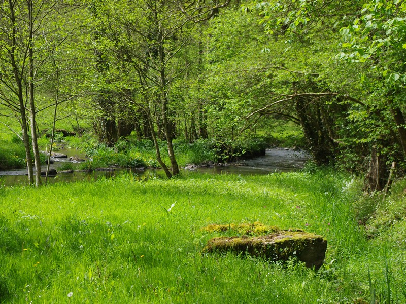 Du Roucamps à la Souleuvre Souleuvre en Bocage Normandie