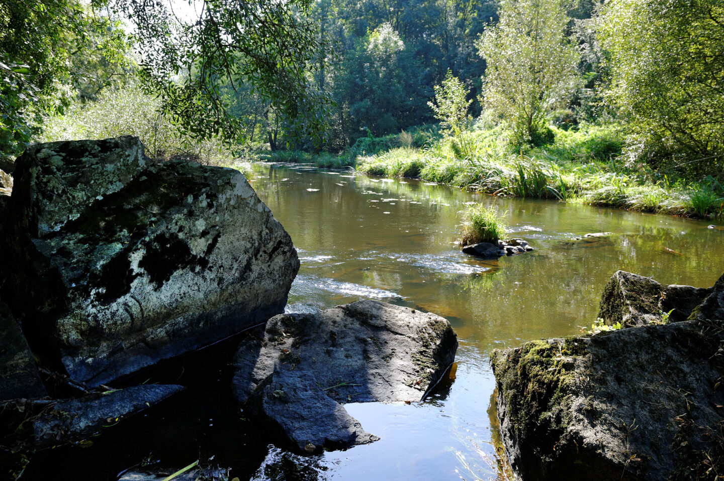Les éboulis de Massais ENS Val en Vignes Nouvelle-Aquitaine