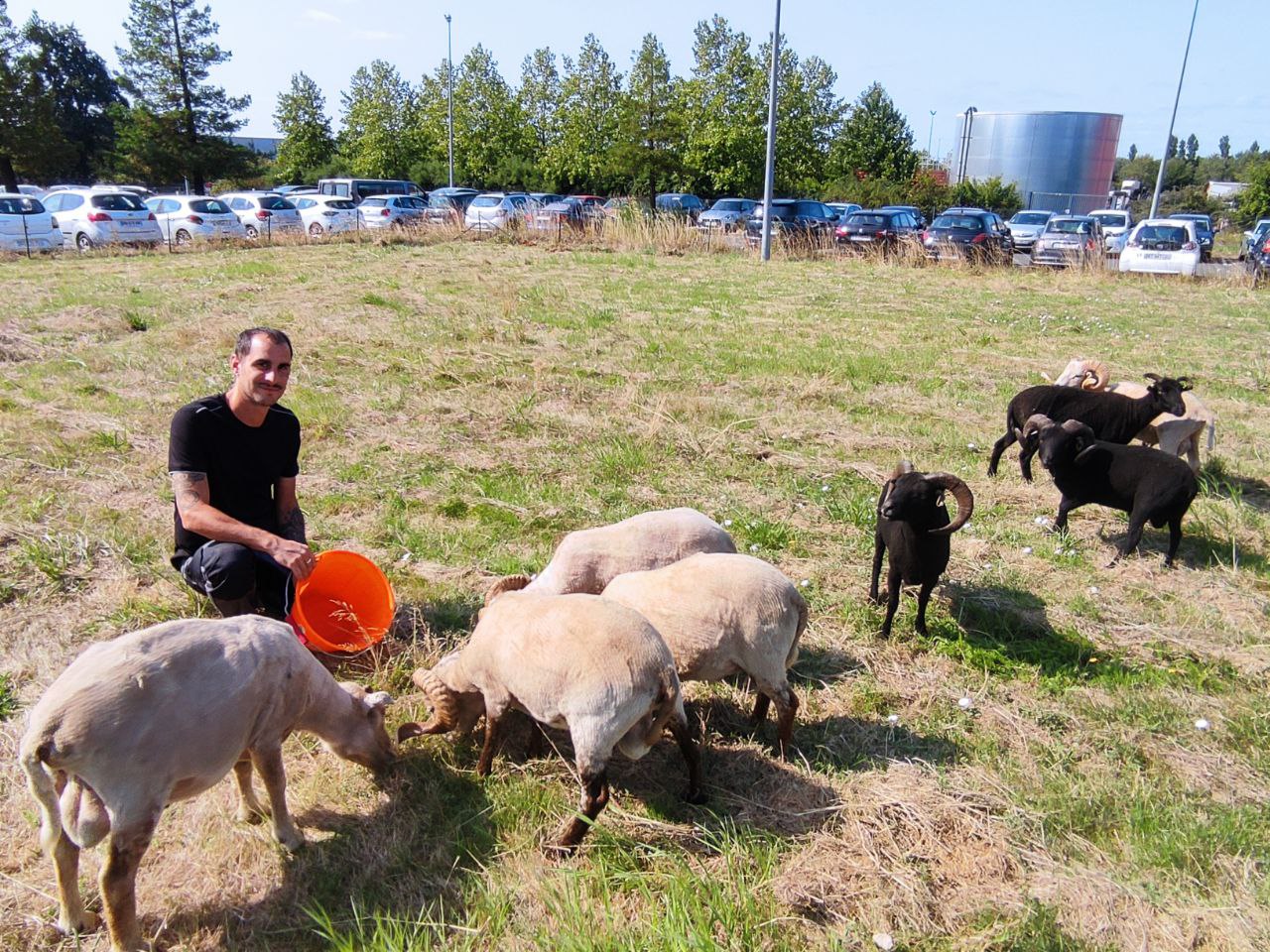berger dans la ville