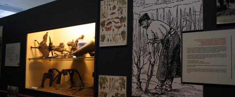 Boucle vélo: Histoire et patrimoine autour de Montagne Montagne Nouvelle-Aquitaine