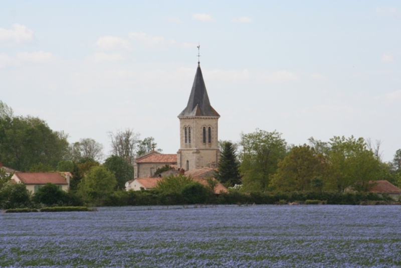 À la découverte du village d'Amuré Amuré Nouvelle-Aquitaine