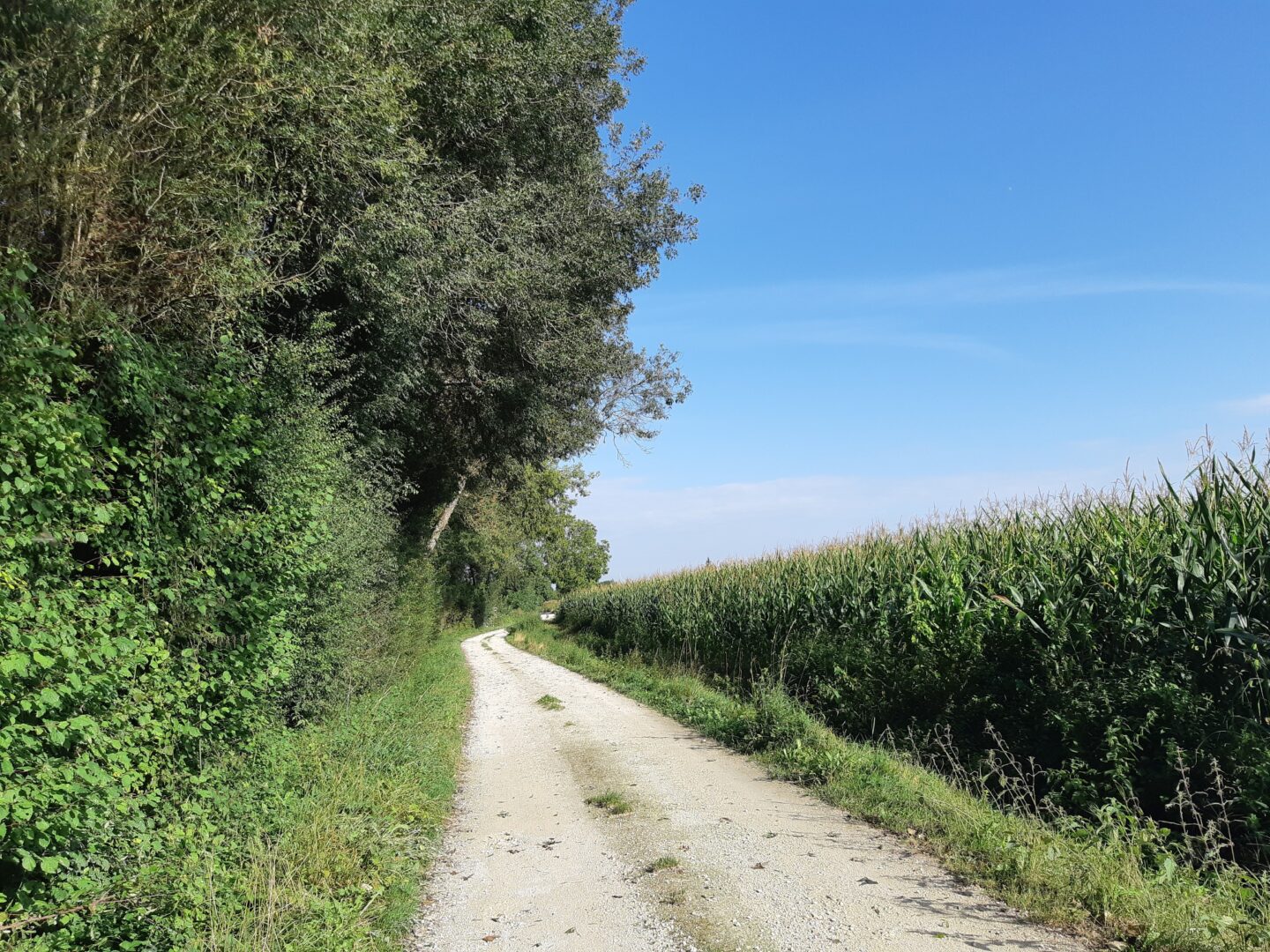 Entre fontaines et rivières Fontenille Saint-Martin-d'Entraigues Fontenille-Saint-Martin-d'Entraigues Nouvelle-Aquitaine