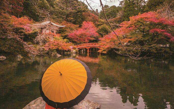 Ciné Conférence Altaïr : "Tokyo