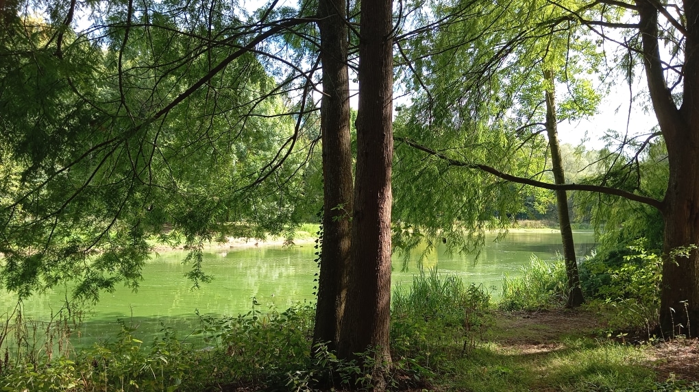Étang du parc des Gayeulles
